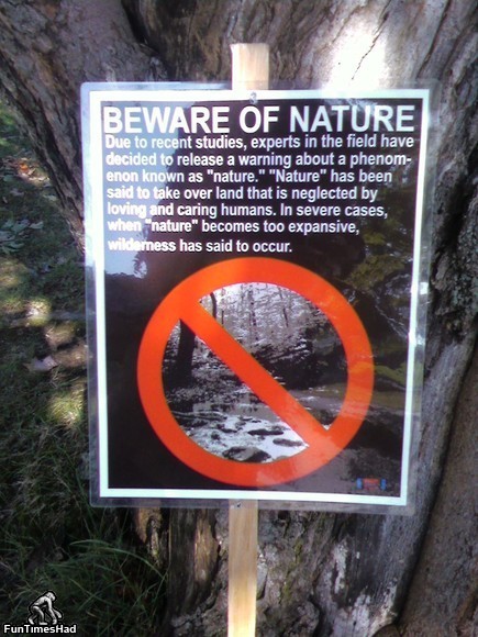 nature1.jpg