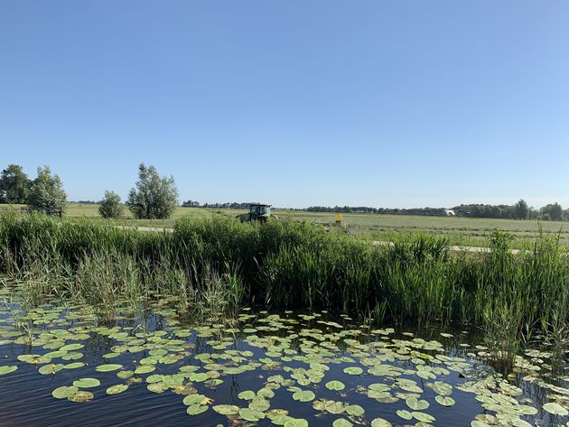 <em>In Friesland zit je overal zo in de natuur.<\/em>