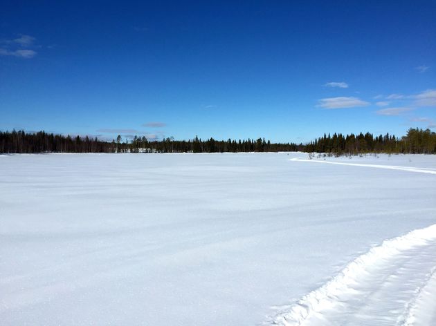 natuur-lapland.jpeg