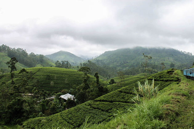 Wat is Sri Lanka toch mooi!