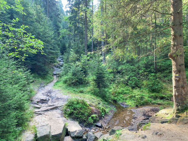 In natuurgebied Teplice kun je prachtige wandelingen maken