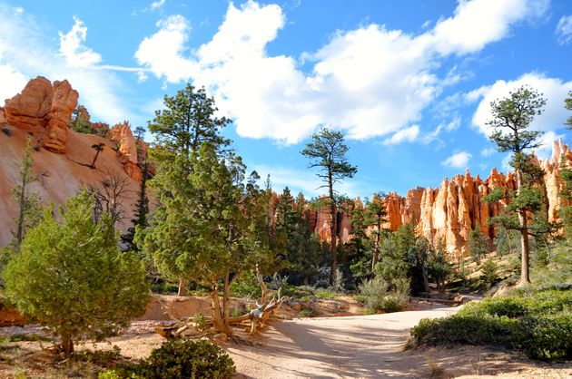 Halverwege Navajo Loop in Bryce Canyon: even een stukje hiken ontkom je niet aan!