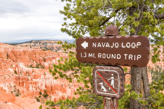 Een van de mooiste routes loopt dwars door het Amphitheater: de Navajo Loop