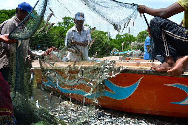 Vissers aan het werk in Negombo