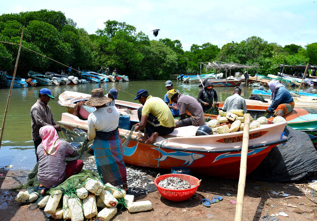 De vismarkt van Negombo