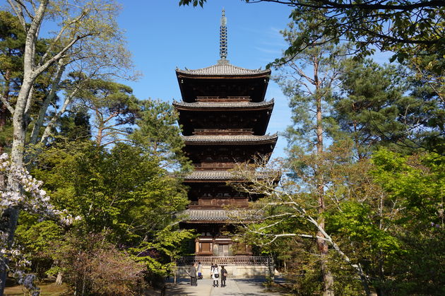 Ninna Ji temple, met een schitterende tuin