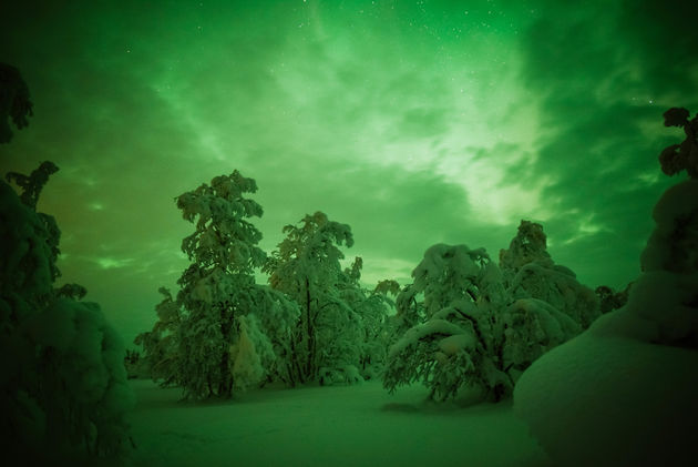 Het noorderlicht zien maakt een Lapland-reis pas echt compleet!