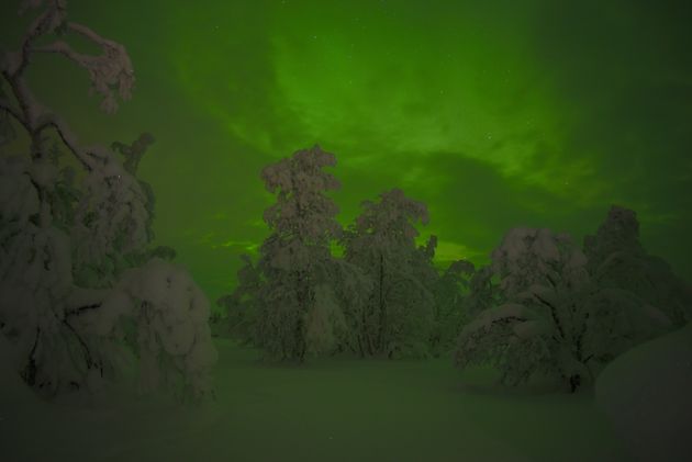 Het noorderlicht: dit maakt een Lapland reis echt onvergetelijk