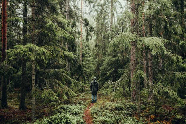 Overdag maak je mooie hikes in de Zweedse natuur