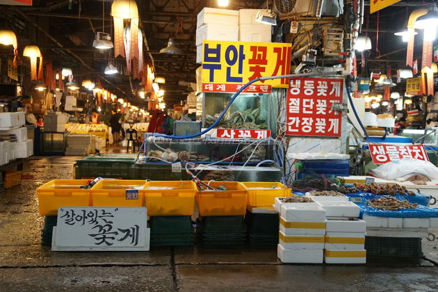 Noryangjin Vismarkt kleurrijk