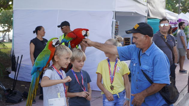 Kids fun met papagaaien