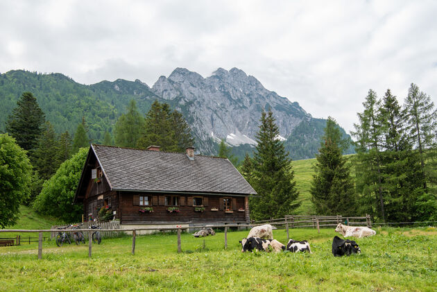 Genieten van een traditionele lunch in de Ochsenwaldalm