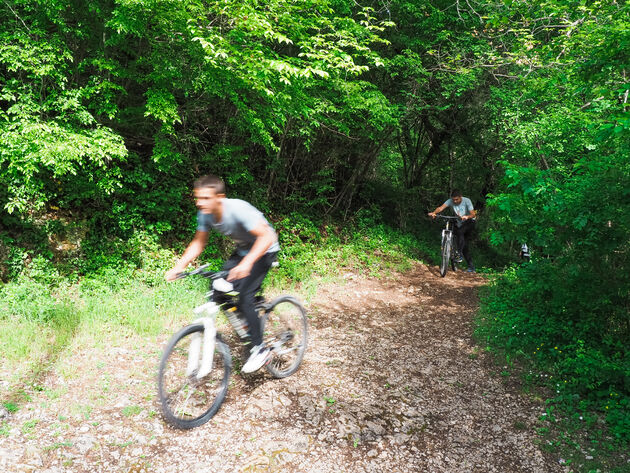 Verken de omgeving via de talloze fiets- en wandelpaden