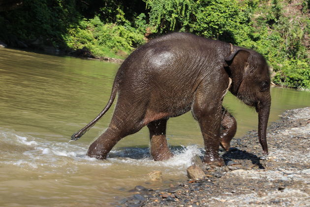 Ontdek de mooiste plekken en wildlife van Sumatra tijdens een rondreis