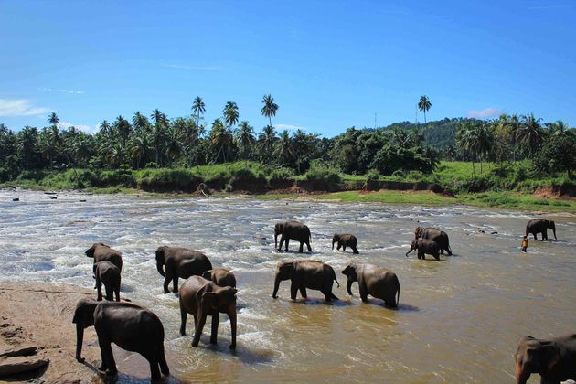 olifanten_rivier