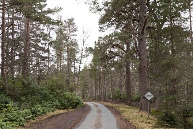 Ook de bossen zijn vlakbij