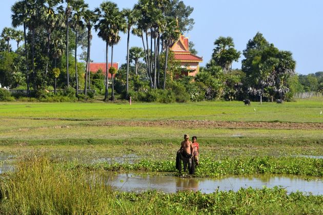 De omgeving van Siem Reap in Cambodja is prachtig