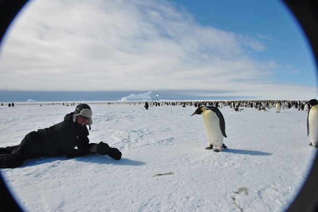 Een bijzondere ontmoeting op Antarctica