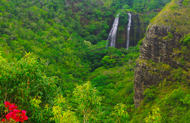 Opaekaa Falls