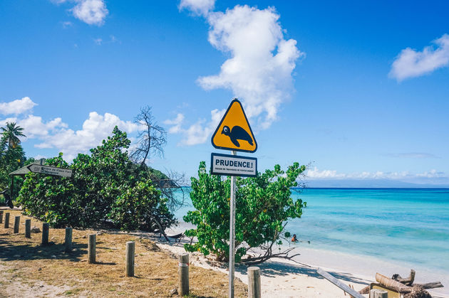 Het leukste verkeersbord van Guadeloupe: pas op voor overstekende schildpadden!