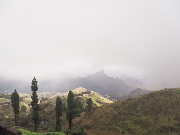 pa139529.jpeg