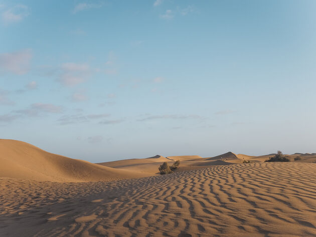 Overnachten op loopafstand van de duinen van Maspalomas: yes please!