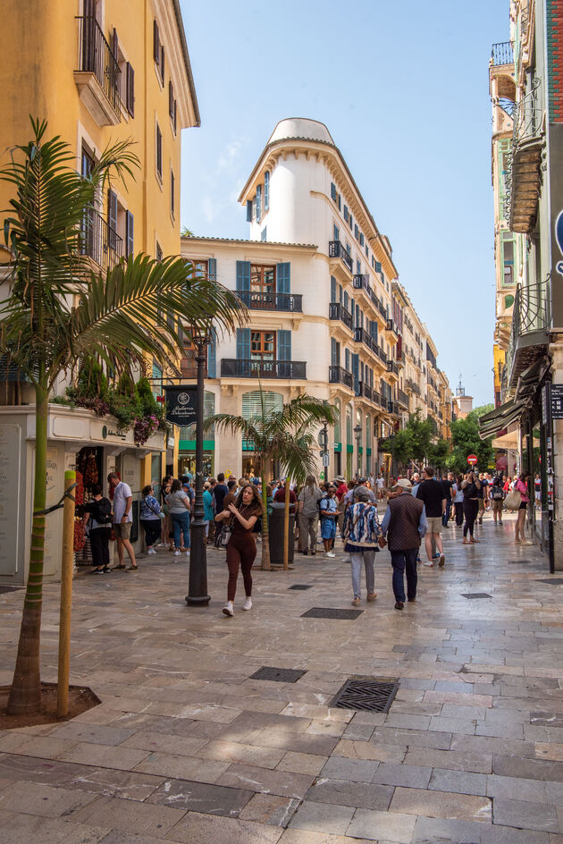 Palma is een prachtige stad om te zien