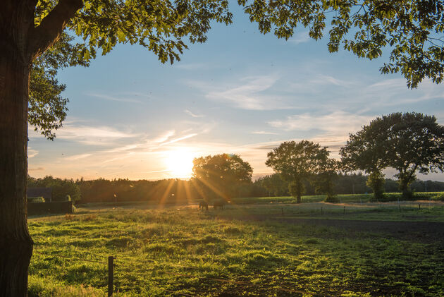 Genieten van een heldere, zomerse zonsondergang