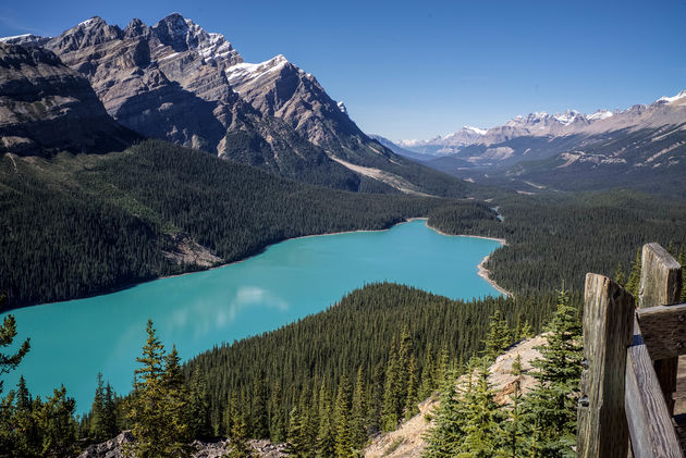 Hoe mooi is de kleur van het water van Peyto Lake in Canada?