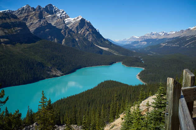 Het bijzondere blauwe meer Peyto Lake!