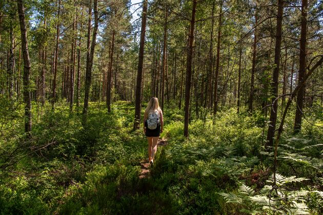 We wandelen een deel van de Pilgrimsleden