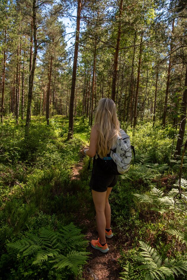 Uren wandelen door de ongerepte natuur in West-Zweden