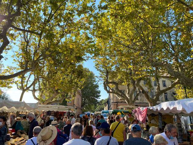 De locatie van de markt is prachtig, onder deze bomen