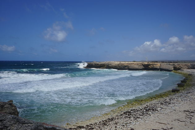 playa-chikitu-bonaire.jpeg