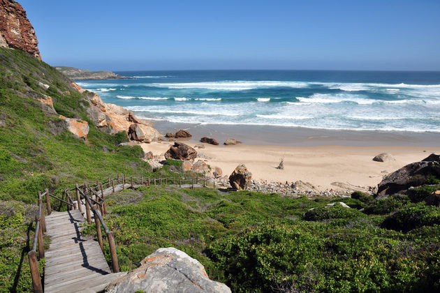 plettenberg-bay-tuinroute.jpeg