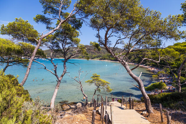 Porquerolles - Frankrijk\u00a9 telly - Adobe Stock