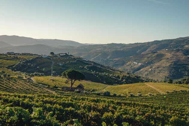 De Douro in al zijn glorie