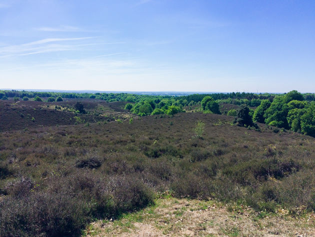 Op een steenworp afstand vind je de Posbank & Nationaal Park de Hoge Veluwe