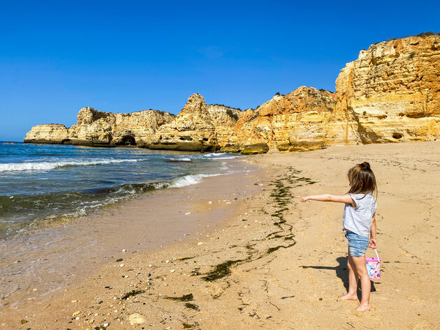 We zijn hier op zoek naar groene stenen!