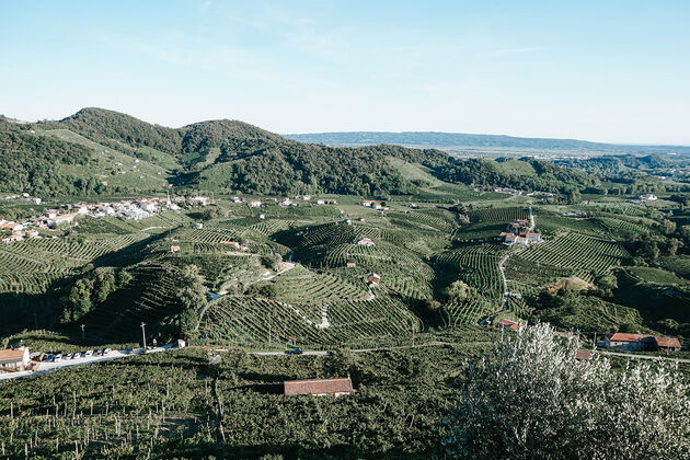 <em>De prosecco hills in Veneto<\/em>