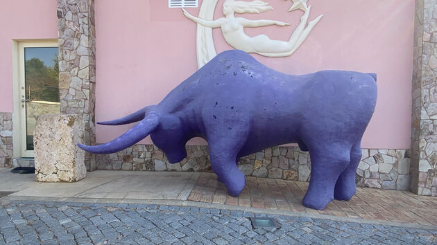 Een paarse stier op Quinta dos Vales, 20 meter verder begrijp je waarom