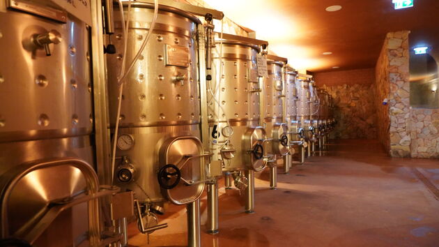 De priv\u00e9 wijnmakerskelder met roestvrijstalen tanks en eikenhouten vaten