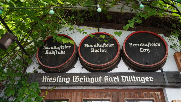 De Riesling druif, de belangrijkste druif voor de vele Moezel wijnen