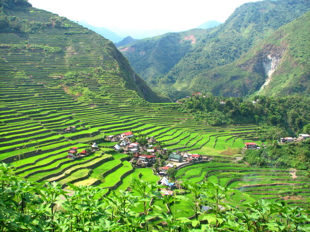 Een wereldwonder: de rijstterrassen van Banaue\u00a9 jonald john morales - Adobe Stock
