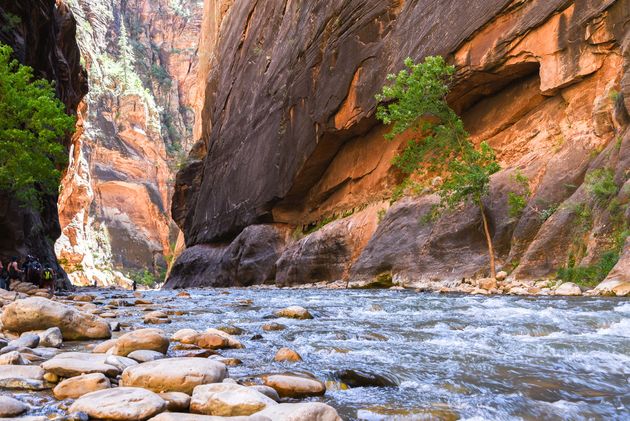 Hiken door the Narrows betekent dat je dwars door de rivier loopt; er is geen wandelpad