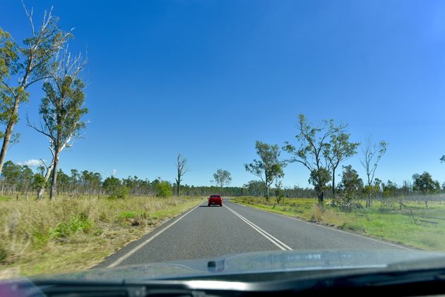 Je moet links rijden in Australi\u00eb en dat is even wennen