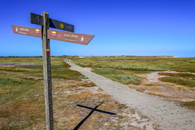 Om te fietsen en wandelen moet je op de Waddeneilanden zijn. Texel heeft een hoop mooie routes.