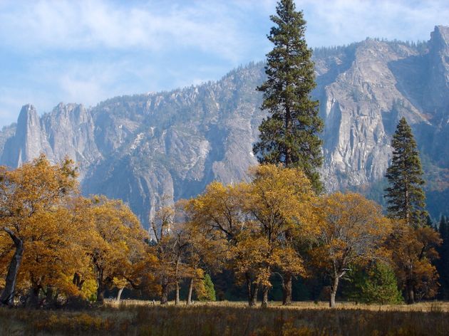 Roadtrippen door de VS: Yosemite NP wil je niet missen!