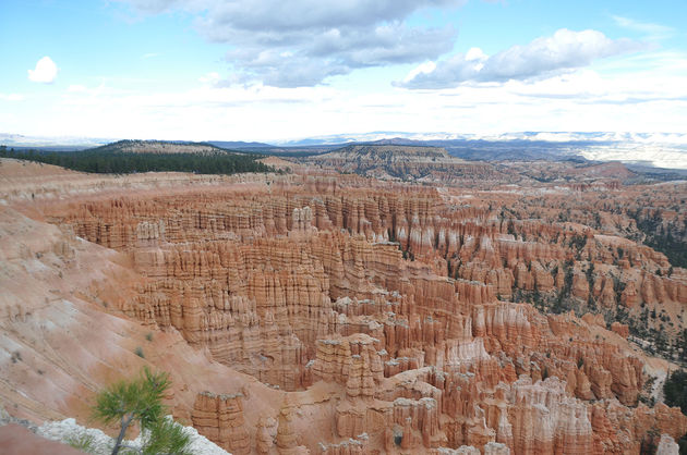 De welbekende rock-formaties van Bryce Canyon National Park. 