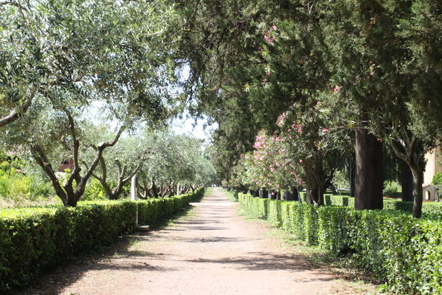 Mooie paden parallel aan de Via Appia.